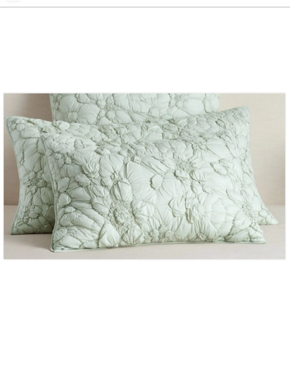 1 new Pottery Barn Monique Lhuillier Marguerite Quilted Standard Sham Sage
